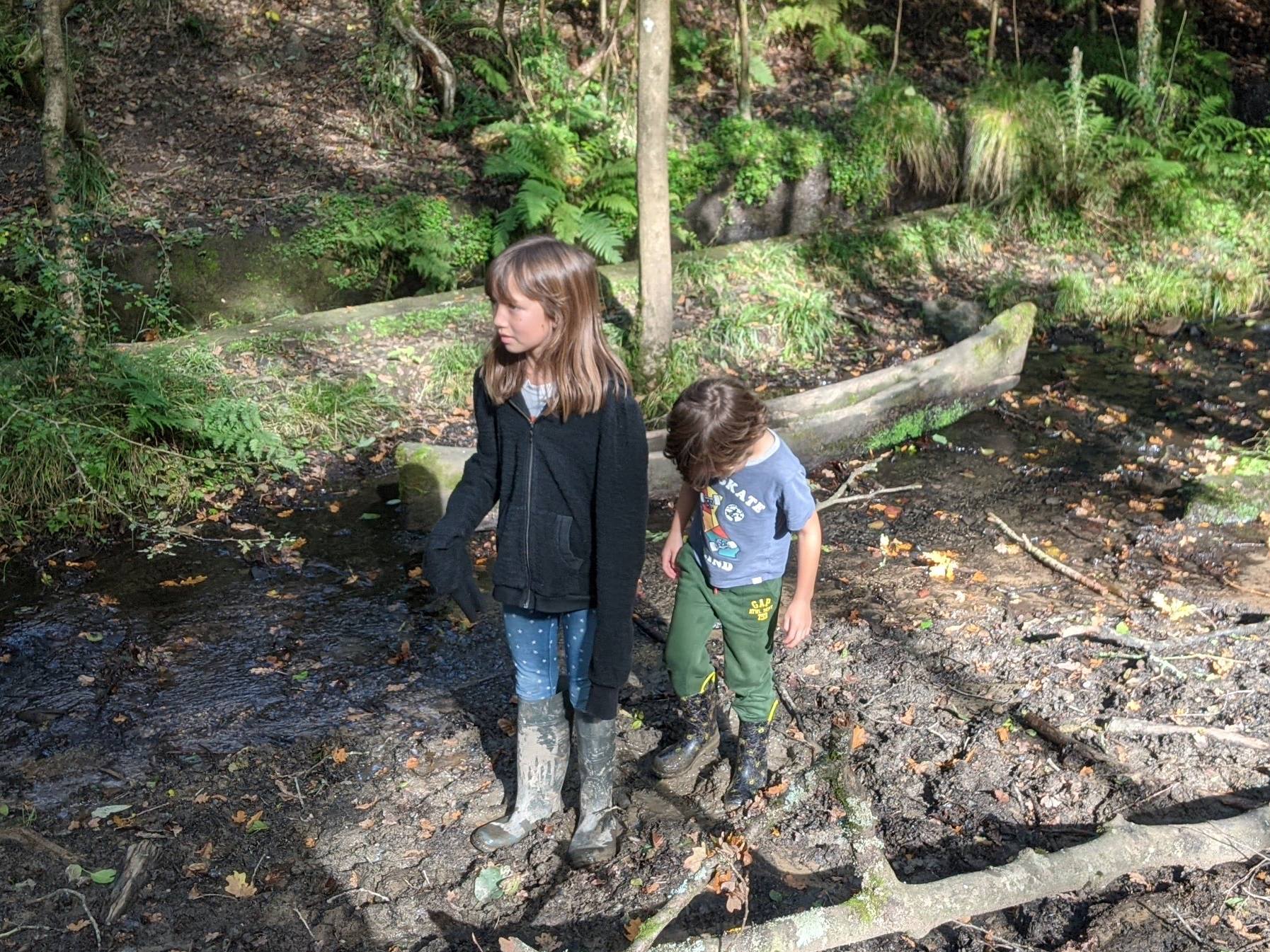 Family Exploration